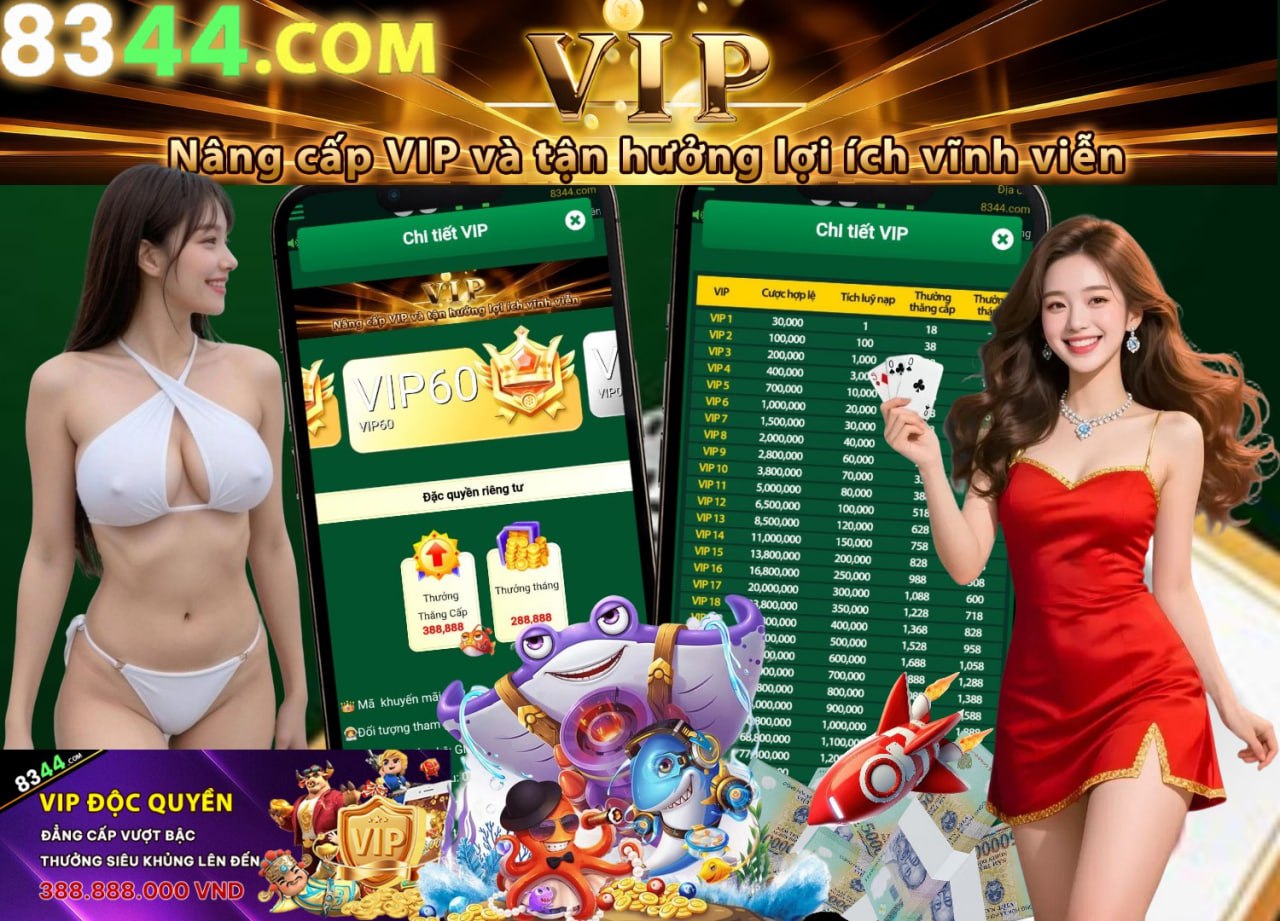xibet