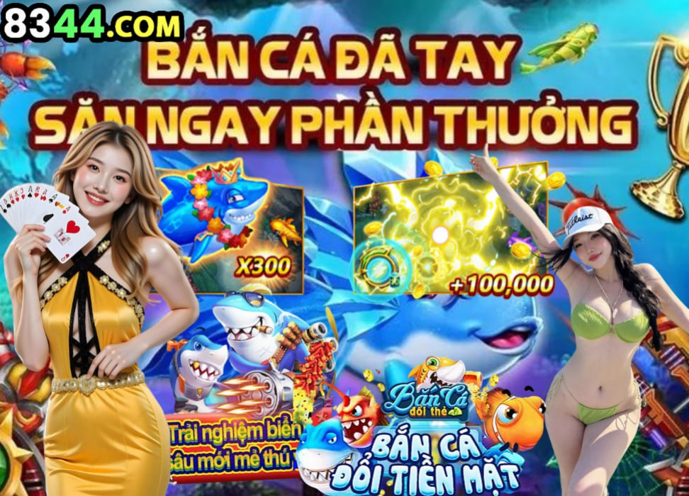 xibet